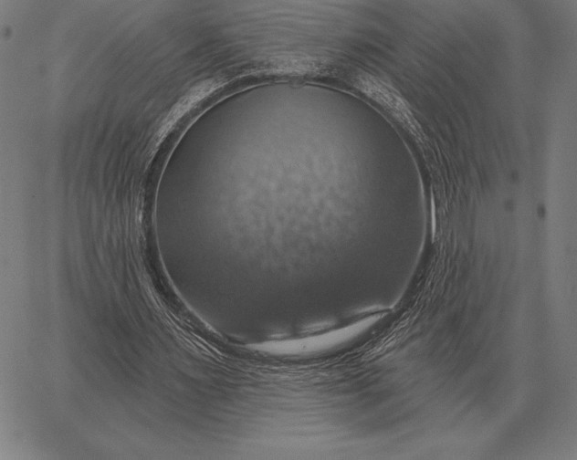 X0000067350483200604131754