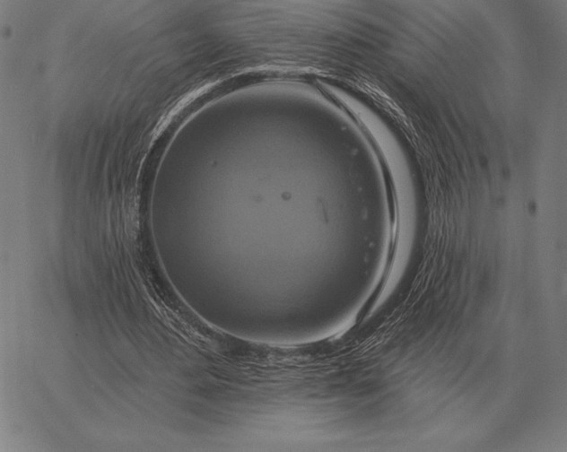 X0000067350484200604131754