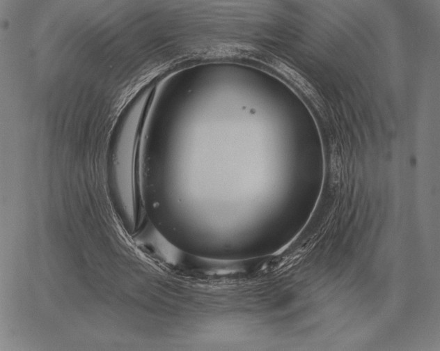 X0000067350485200604131754