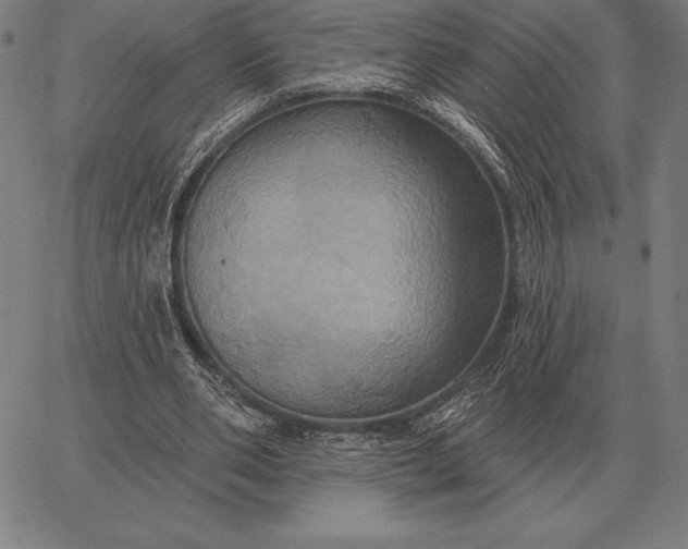 X0000067350486200604131754