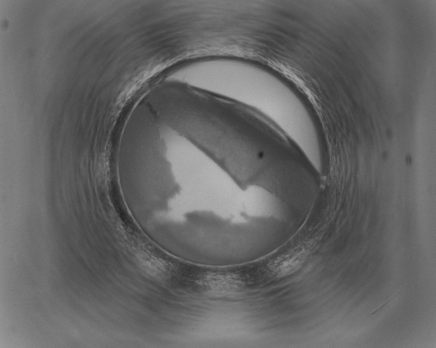 X0000067350487200604131754