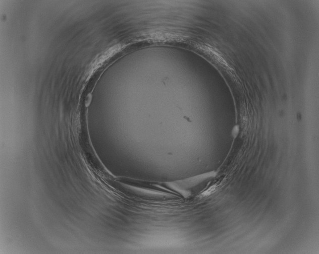 X0000067350488200604131754