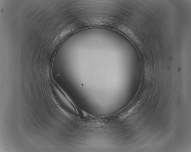 X0000067350489200604131754