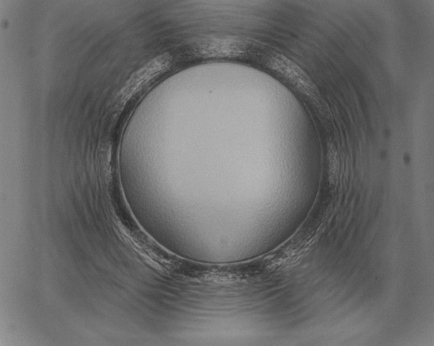 X0000067350490200604131754