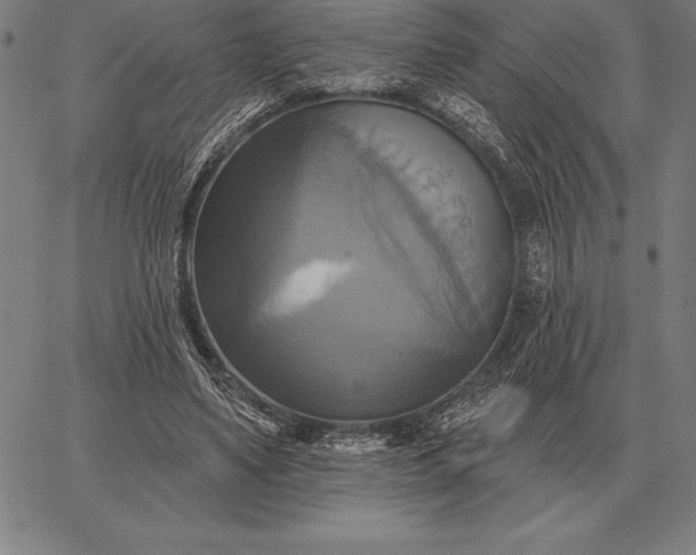 X0000067350491200604131754