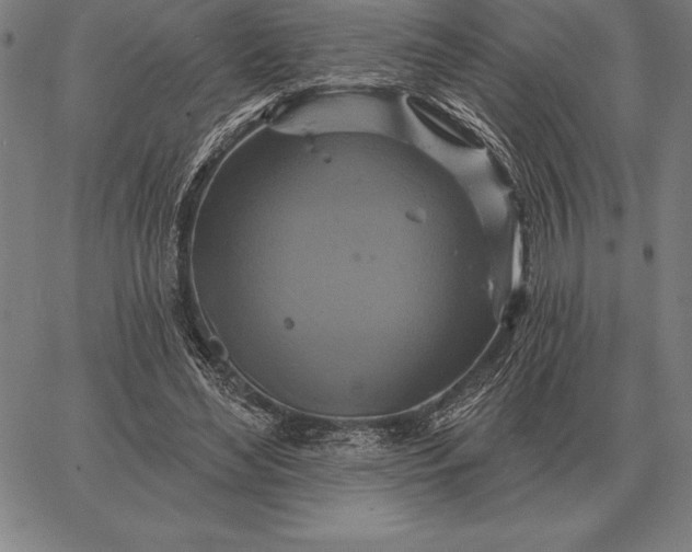 X0000067350492200604131754