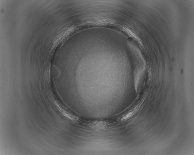 X0000067350493200604131754