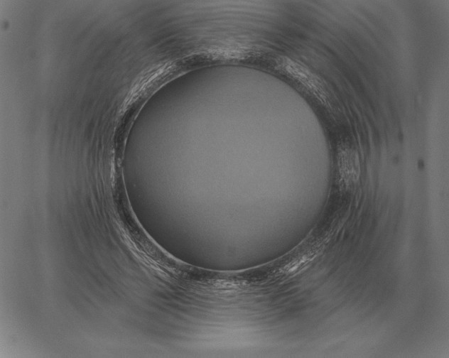 X0000067350494200604131754