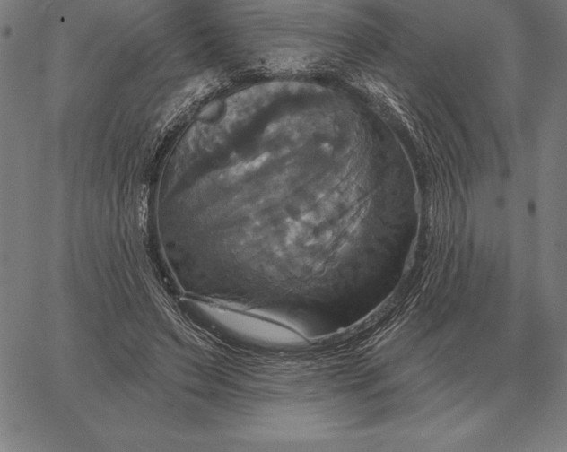 X0000067350495200604131754