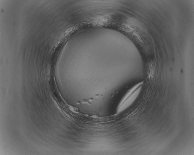 X0000067350496200604131754