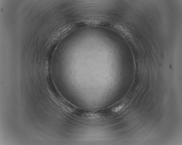 X0000067350498200604131754