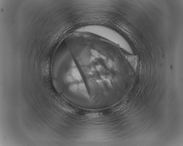 X0000067350499200604131754