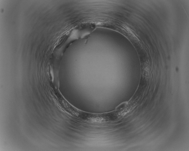 X0000067350500200604131754