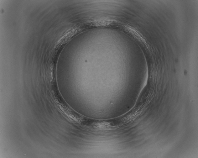 X0000067350501200604131754