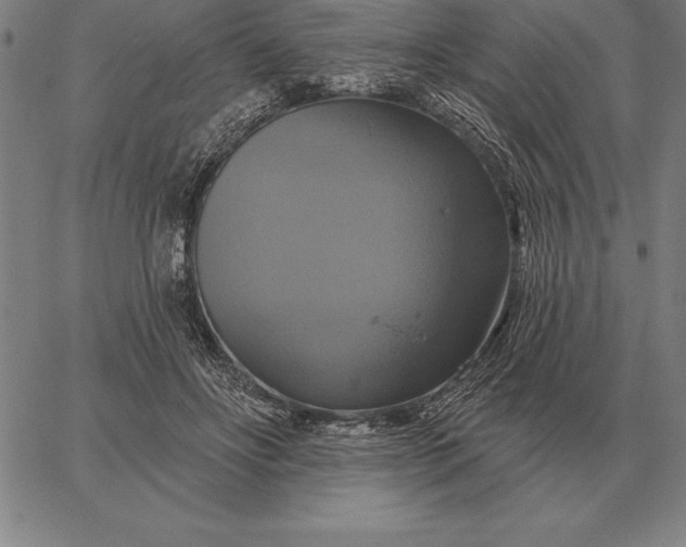 X0000067350502200604131754