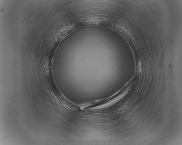 X0000067350504200604131754