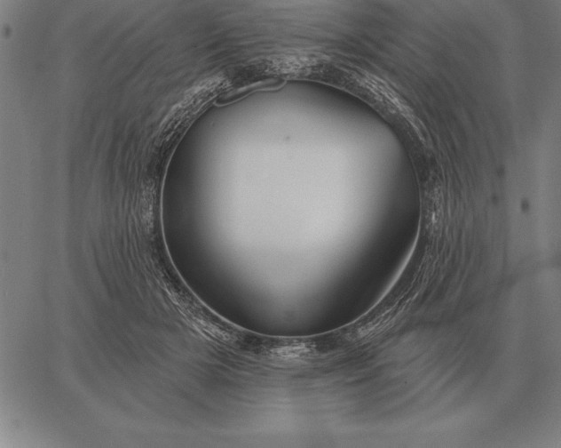 X0000067350505200604131754