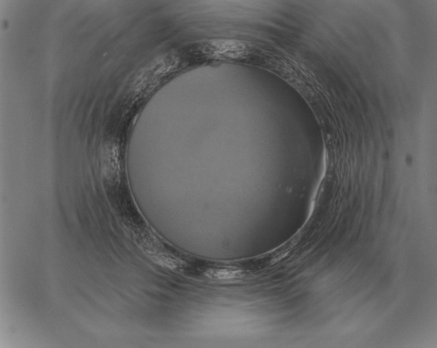 X0000067350506200604131754