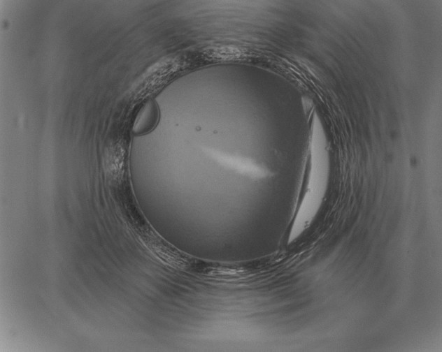 X0000067350507200604131754