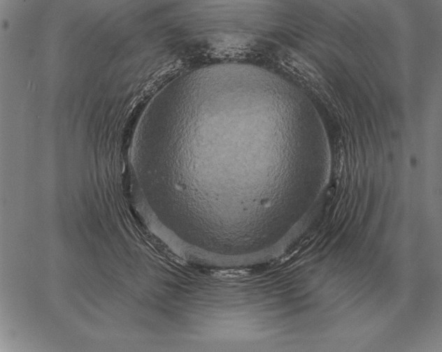 X0000067350508200604131754