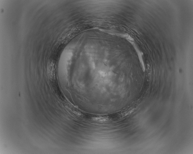 X0000067350511200604131754