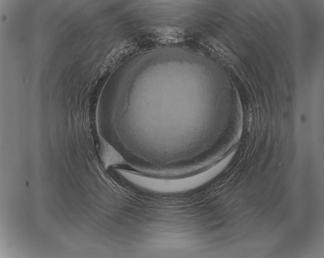 X0000067350512200604131754