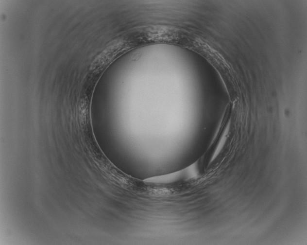 X0000067350513200604131754