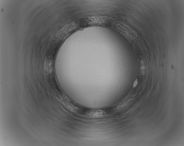 X0000067350514200604131754