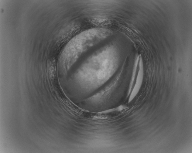 X0000067350515200604131754