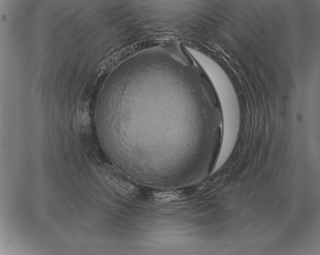 X0000067350516200604131754