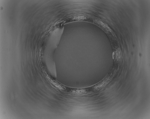 X0000067350517200604131754