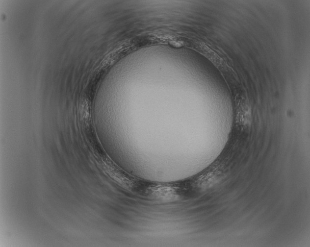 X0000067350518200604131754