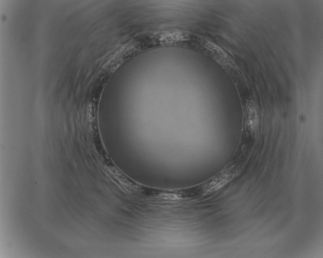 X0000067350519200604131754