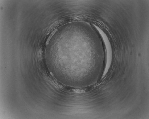 X0000067350520200604131754