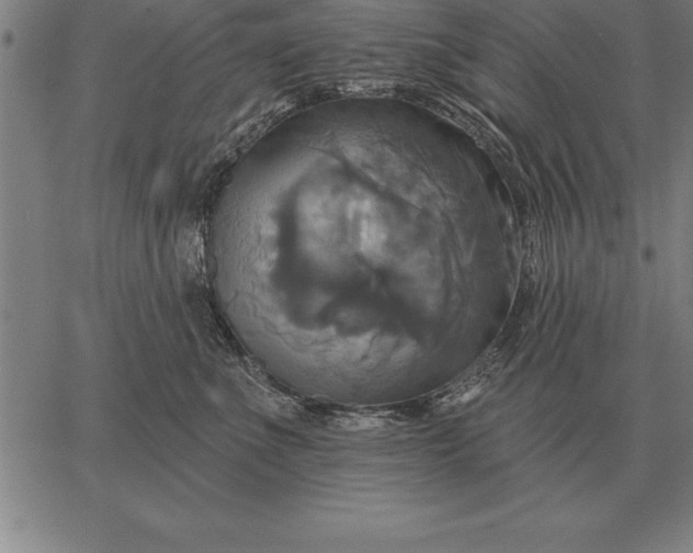 X0000067350523200604131754