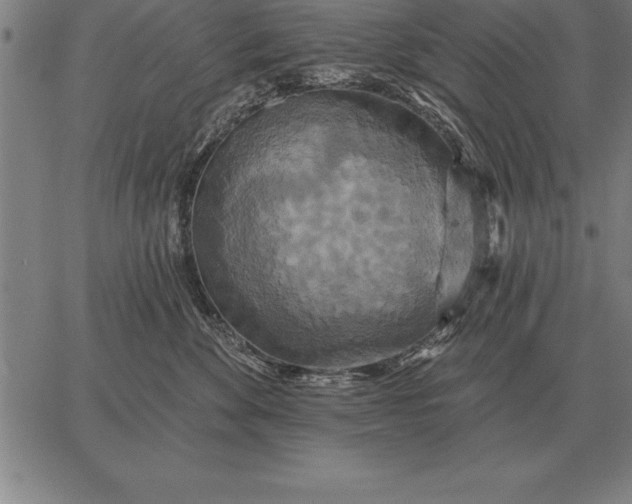 X0000067350524200604131754