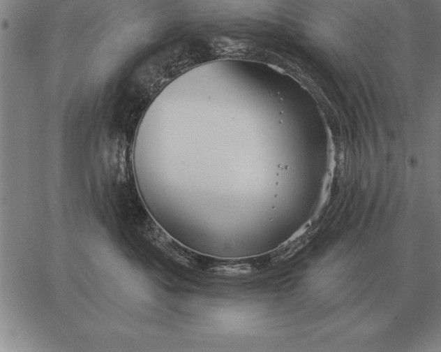 X0000067350525200604131754