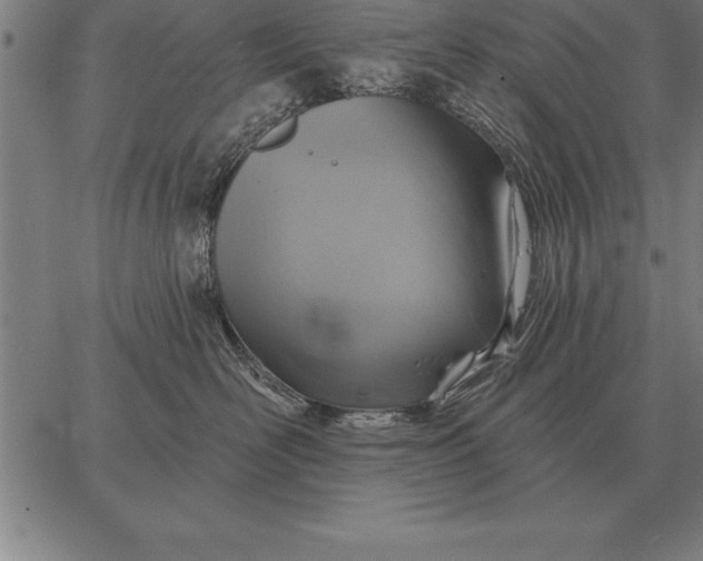 X0000067350526200604131754