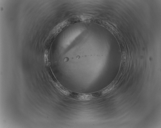 X0000067350527200604131754