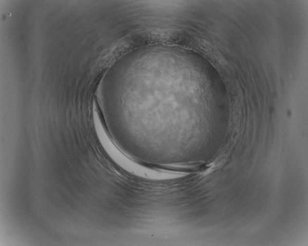 X0000067350528200604131754