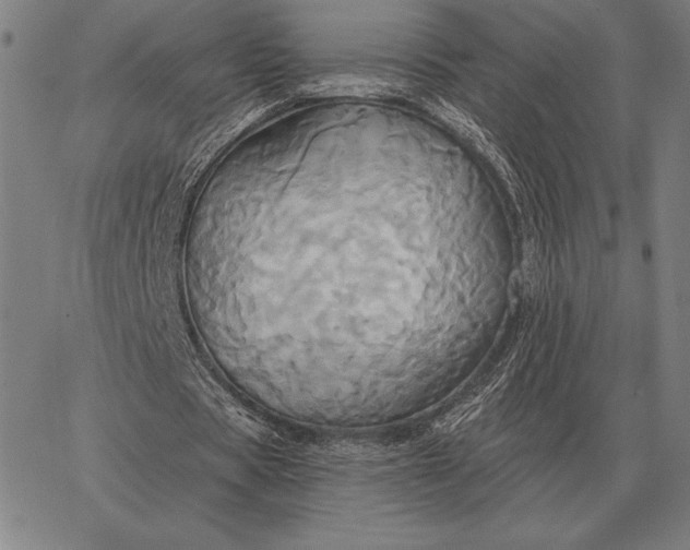 X0000067350529200604131753