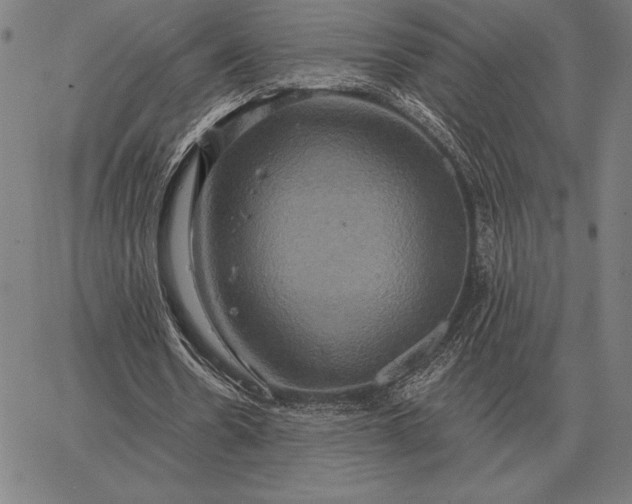 X0000067350530200604131753