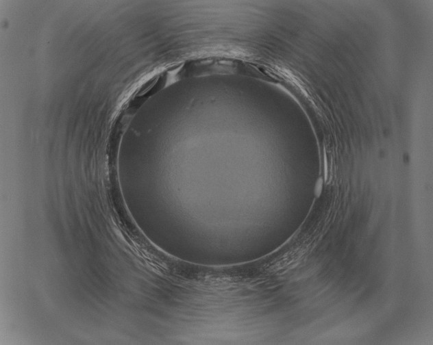 X0000067350531200604131753