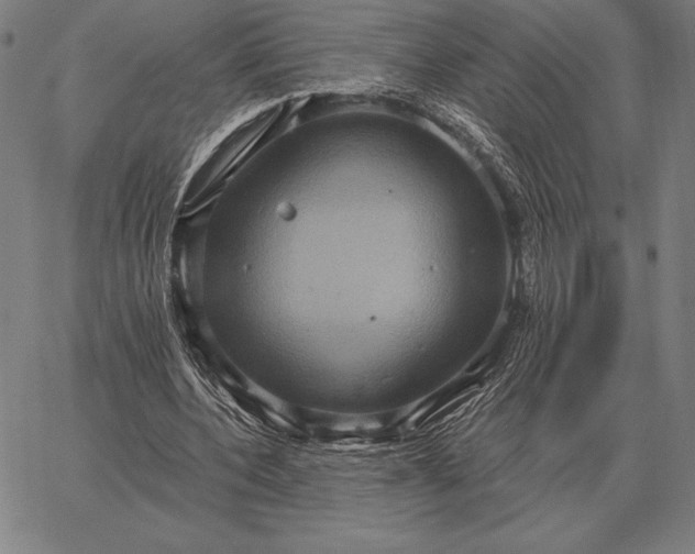 X0000067350532200604131753