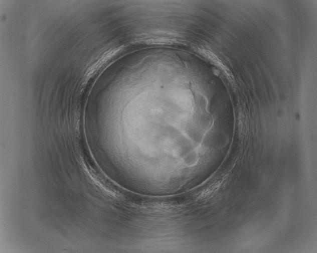 X0000067350533200604131753