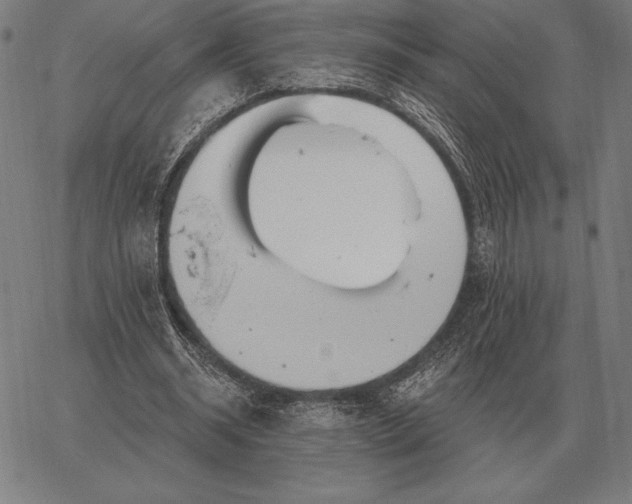 X0000067350534200604131753