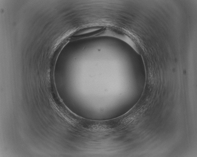 X0000067350535200604131753