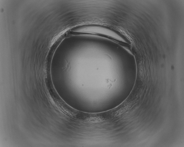 X0000067350536200604131753