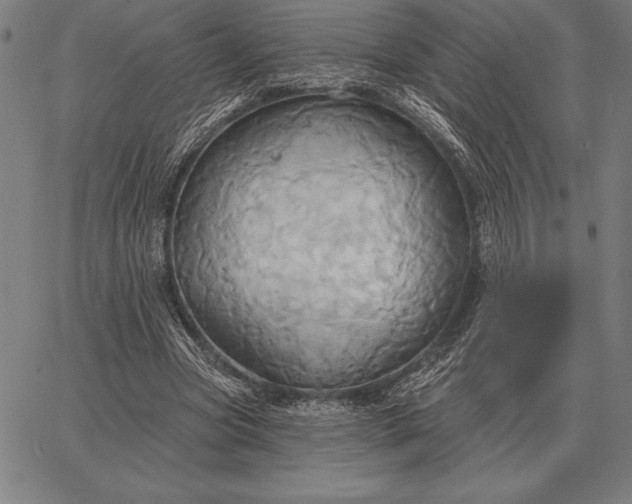 X0000067350537200604131753