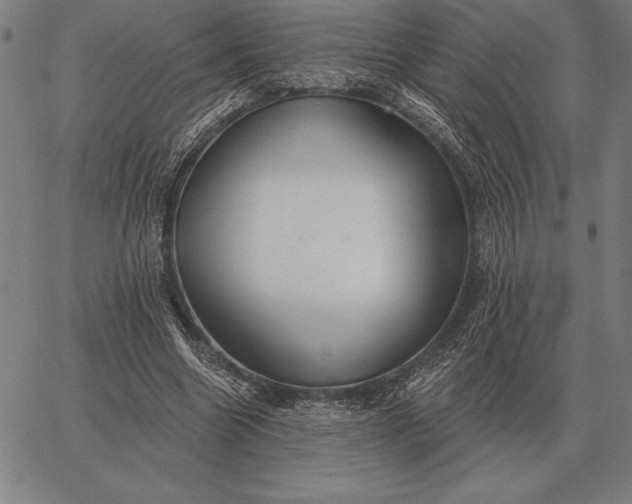 X0000067350538200604131753